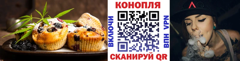 дарнет шоп  Елизаветинская  Cannafood конопля 