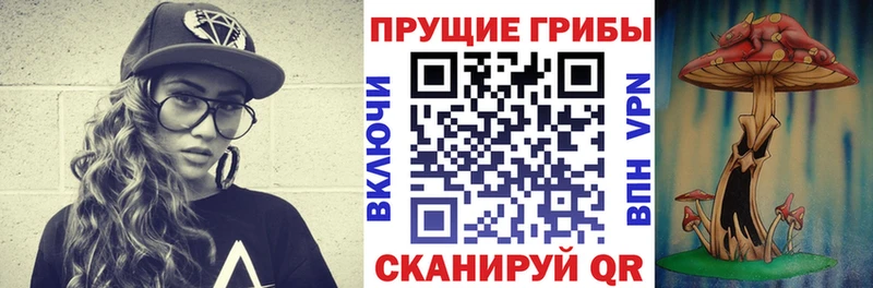 площадка телеграм  Елизаветинская  Псилоцибиновые грибы Magic Shrooms  цены  