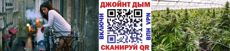 Канабис SATIVA & INDICA  как найти закладки  Елизаветинская 